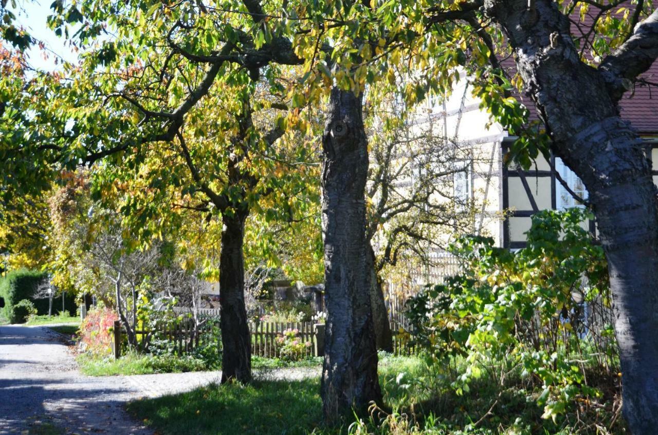 Apartamento Hochlandappartement